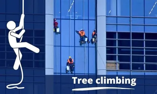 pulizia vetrate tree climbing